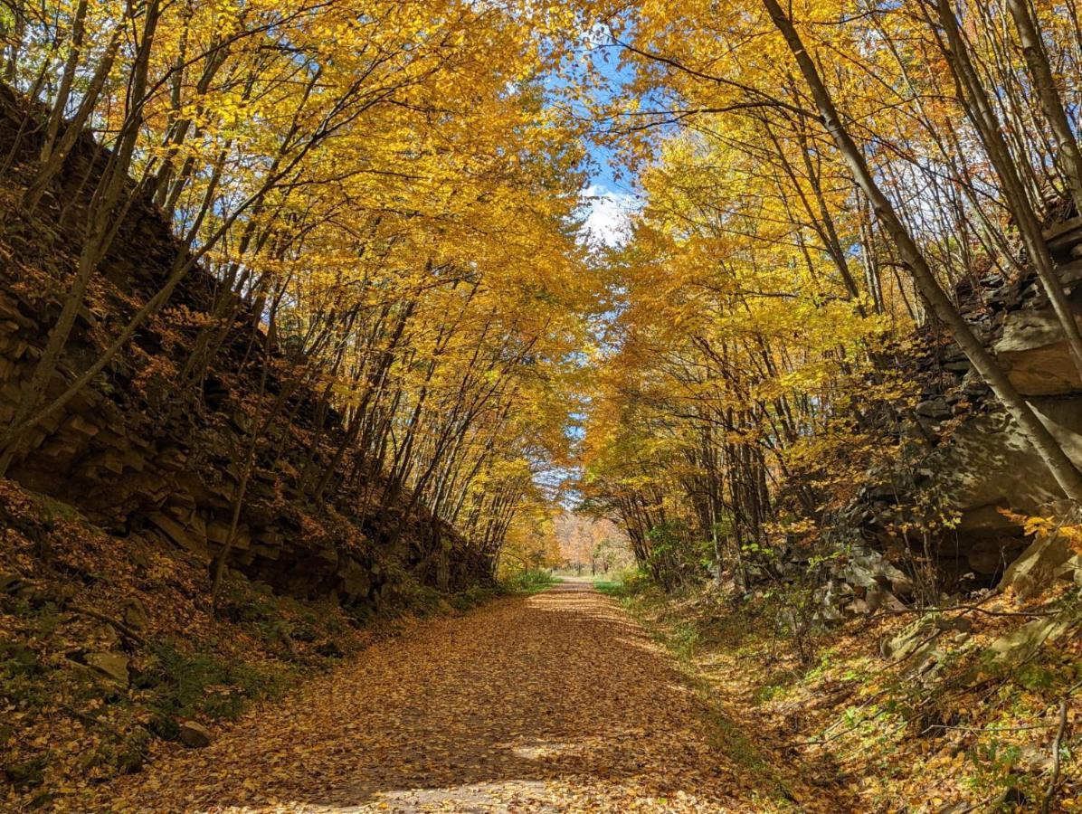 Stay In Ohiopyle In The Middle Of Town By The Gap Trail Exterior foto
